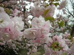20080417-2.jpg