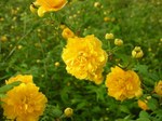 20080417-6.jpg