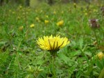 20080417-8.jpg
