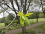 20080418-2.jpg