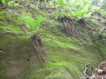 20080419-3.jpg