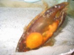 2008 12 22 0007.jpg