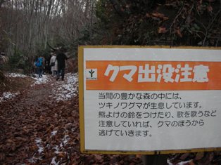 20091122-3.jpg
