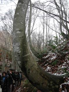 20091122-5.jpg