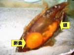 2009 01 02 0001.jpg