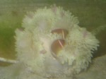2009 06 09 0002.jpg