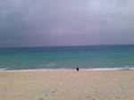 201003231458.jpg