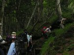 fuji1-4.jpg