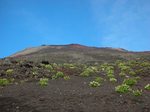fuji3-1-1.jpg