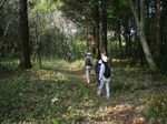 may-satoyama1.jpg