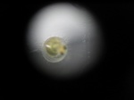 ohga0078.jpg