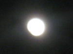 ohga216.jpg