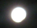 ohga236.jpg
