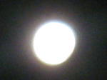 ohga237.jpg