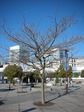 yooda20070125-1.jpg