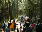 yooda20070410-5.jpg